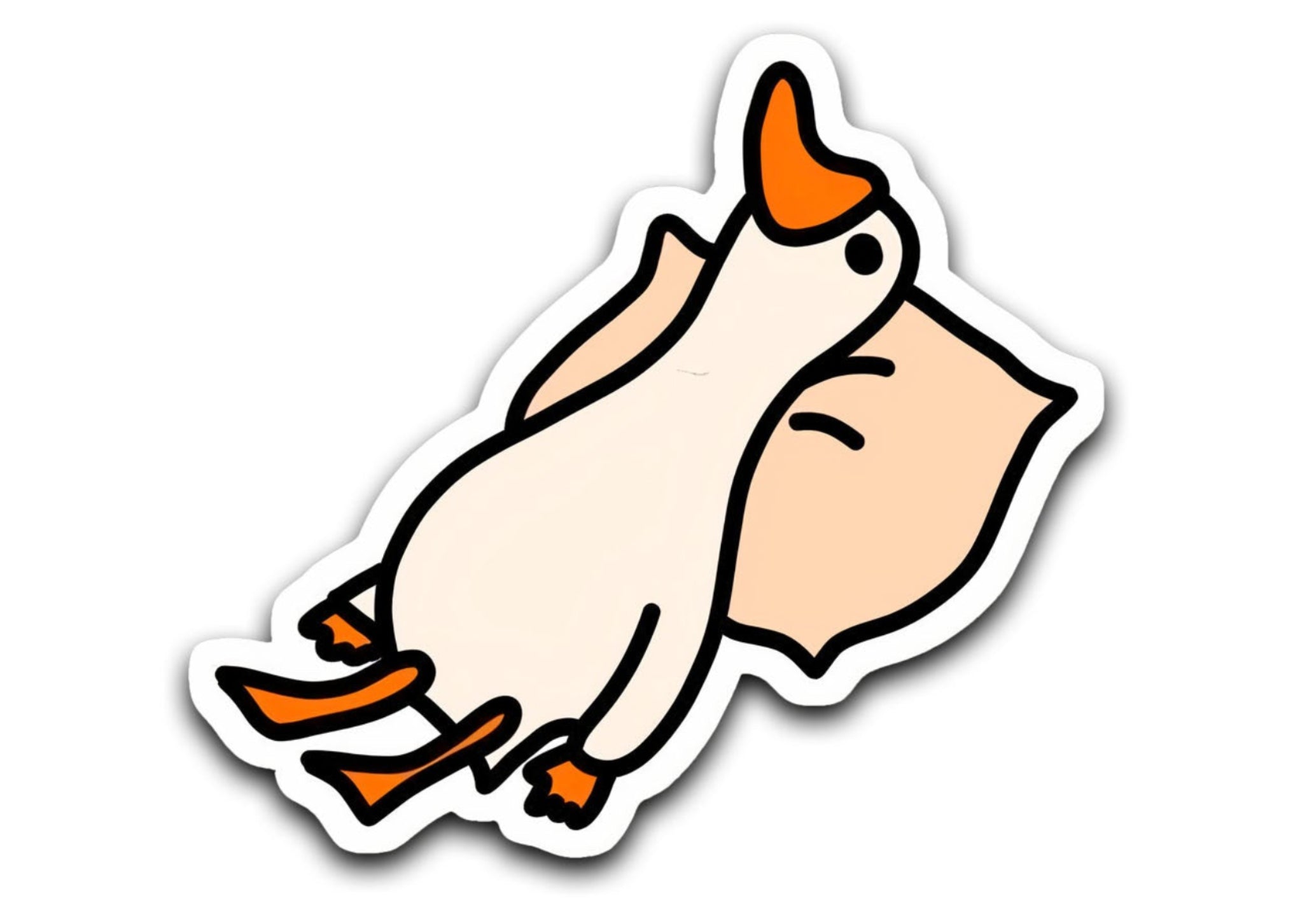 Sleepy Duck