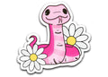 Pink(11)