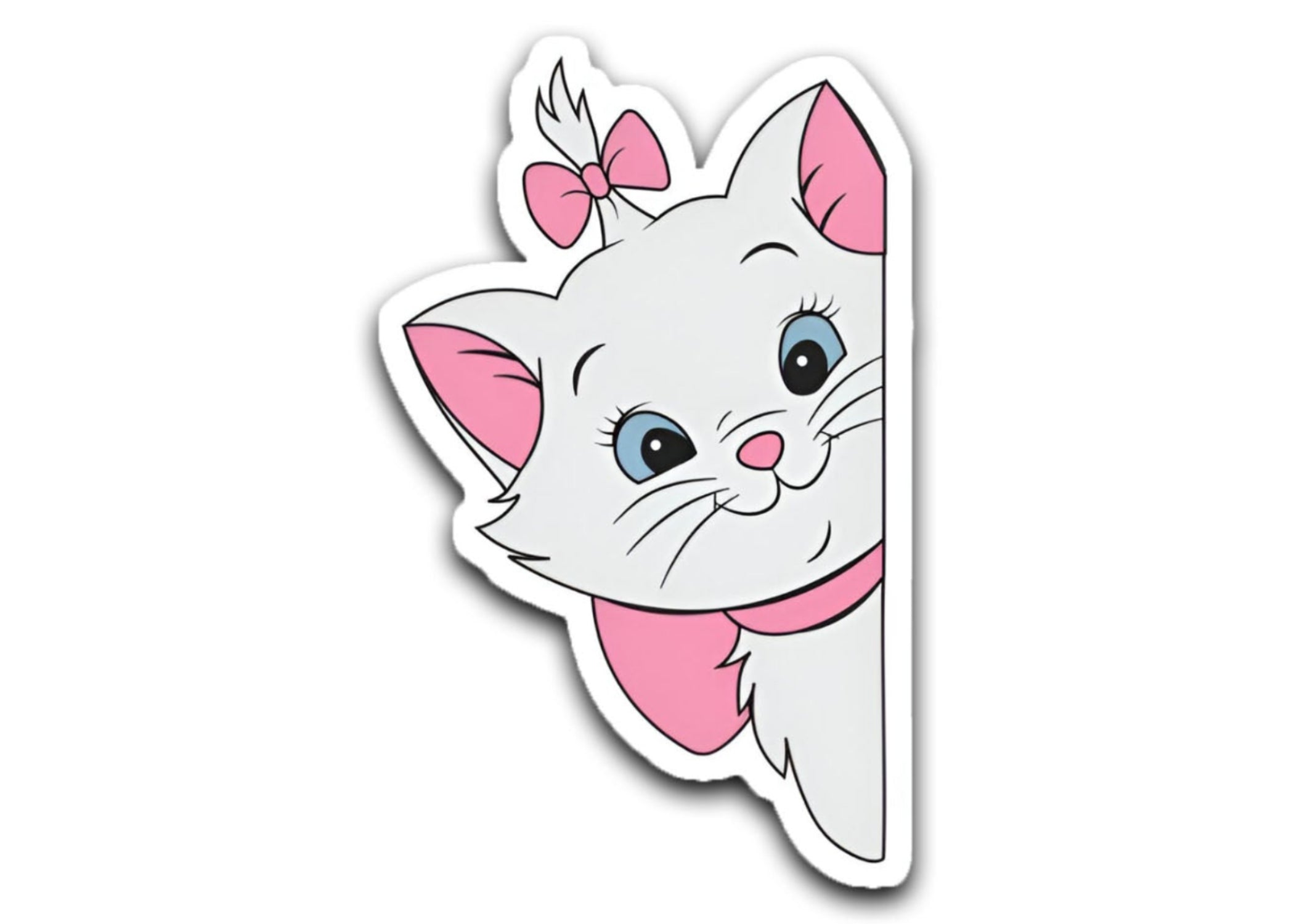 Kitty