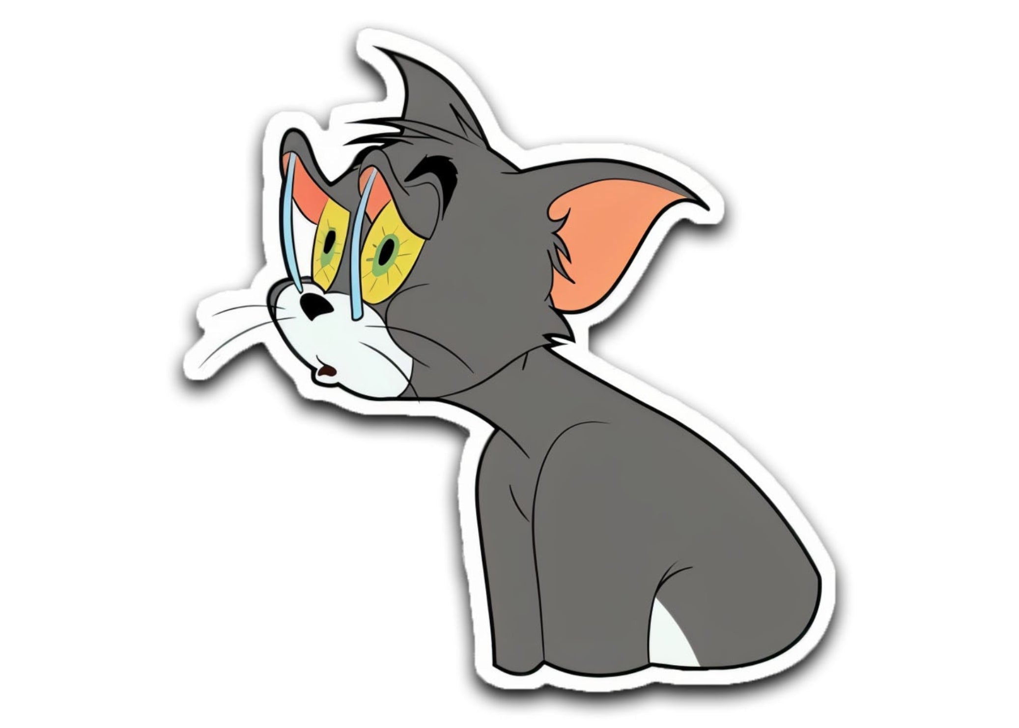 TOM&JERRY(1)