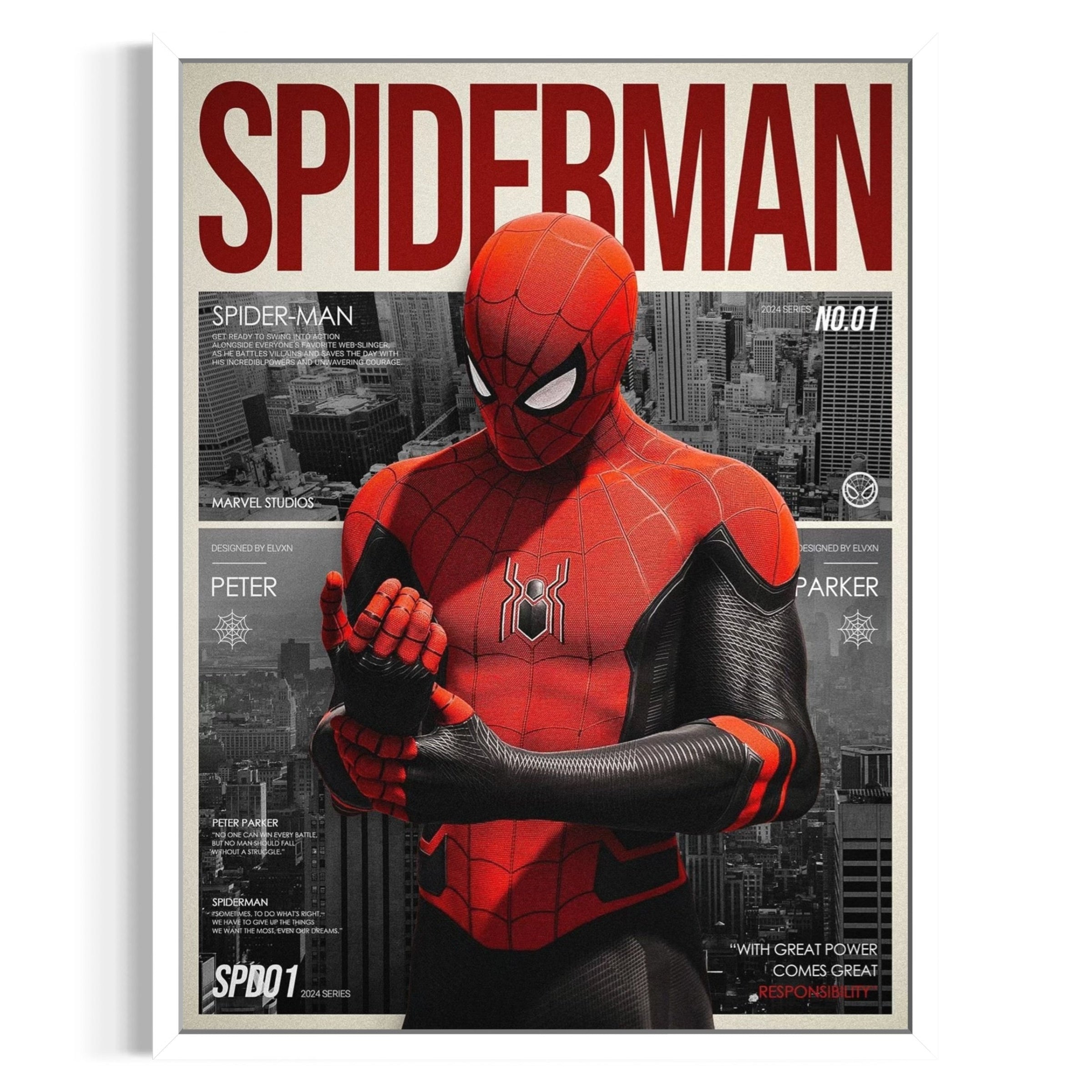 Spider Man(1) Frame