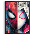 Spiderman(3) Frame